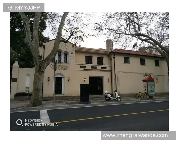 上海篮球队转型之路的纪实探索与发展历程回顾