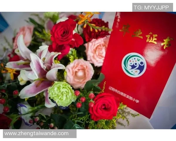 杨静回顾网球生涯的点滴与成长之路分享